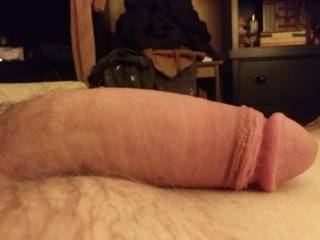 cock
