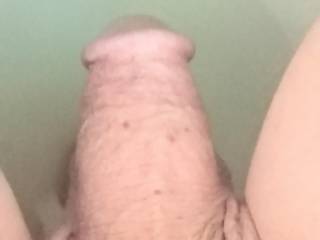 My cock would you like to play with him