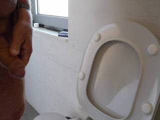 Wanking my Cock at WC before going to bed
