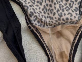 Filled her panties with cum and made her wear them all day.