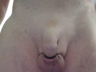My Tied Cock And Balls For Your Pleasure Do You Like My Efforts  ?