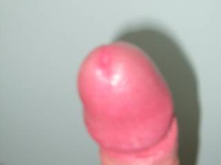 spunkhead