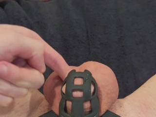 Cum squirting out of small chastity cage while I finger fuck my cock