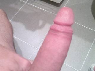 toilet fun!