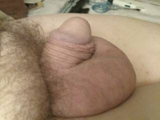 Anyone want to relax with my pillows?