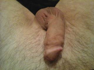 A  relaxed dick photo while playing with zoig friends.