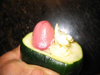 playing with zucchini