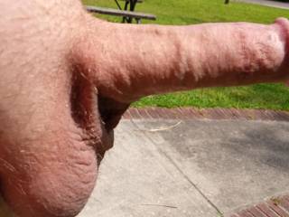 My little cock