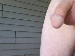 Cock on the porch