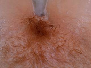 In the bath, when I was letting my firebush grow out.