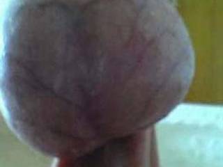 Out of Lovolust\'s Blusheroticon; subject: My balls, eggs, scrotum, testix - real, unfaked, true & genuine picts - from funny through sexy-porny up to brutal; it is for the Women: ...
