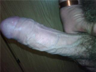 His cock! Anyone want a go?
