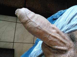 Follow the veins to win a prize