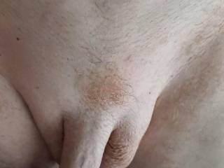 My Mornings Glory Solid Hard Cock Available for Your Pleasure Every Morning Guaranteed....💦👅💦👅💦👅💦👅😜😛😋👏👌