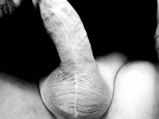 Hard and horny
