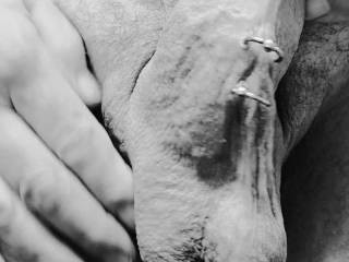 Love showing my Cock and Balls