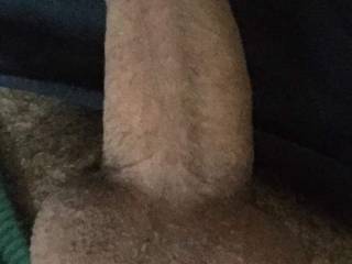 Horny