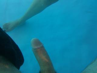 They say things look bigger in water????????