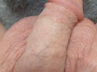 Dick pic for my girlfriend before erection. What do y\'all think?