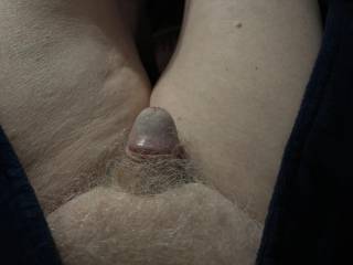 Yes, I know my penis is old and small, but I thought he was looking good this morning.