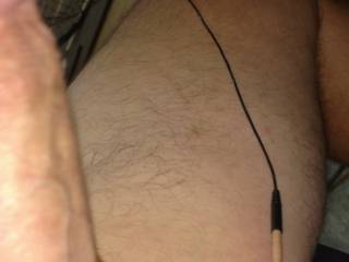 Just got really into zoig cams