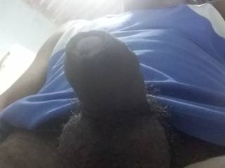 my black cock