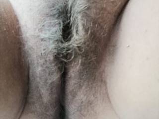 Pussy