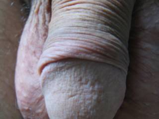 my dick