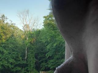 cock