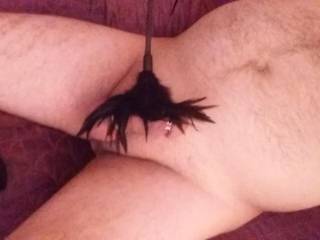 Feathering my cock..😉