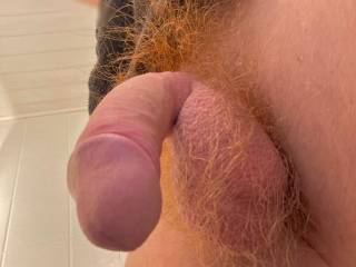 Freshly washed hairy cock and balls. Who wanna taste ? :)