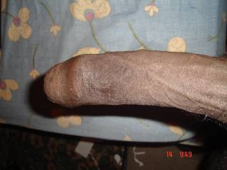 Your cock is so beautiful to look at. Thank you for this yummy photo!

HD