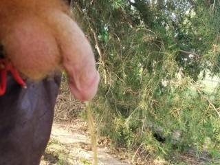 Outdoors fresh air for my Ginger cock