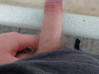 My hard cock