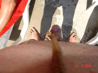birds eye view of my dick