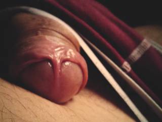 my cock, say Hi to you...