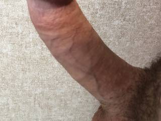 Whatcha think about this dick?