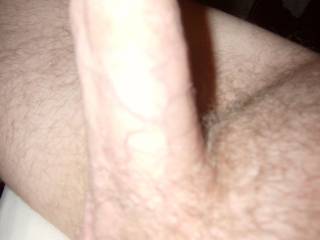 Side view of my cock standing straight up and in need of sucking and fucking.