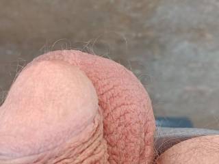 Cock hanging out side gitting some sun cum join me