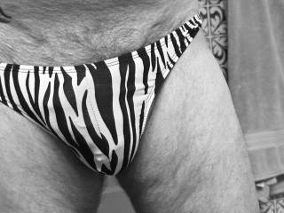 Love posing in a Zebra Striped Thong