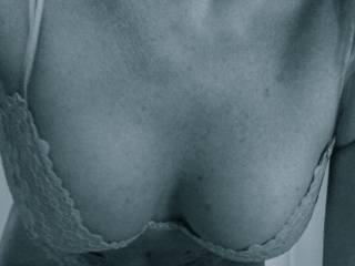 hue tits