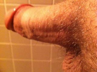 Trying to get a better angle of it.