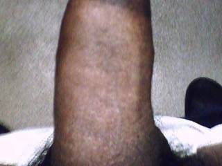 my cock