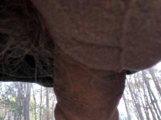 Do you like this view ?