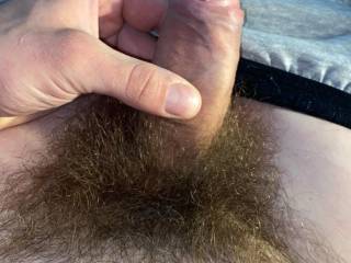 Hairy dick