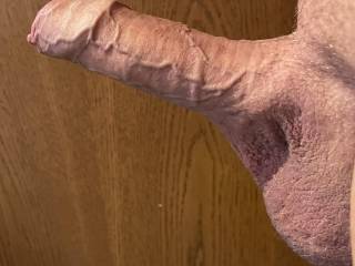 My morning erection after getting up. Just another cock on the wall ...