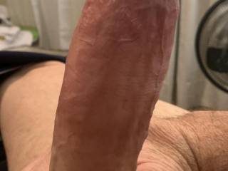 Ddy's big fat veiny cock waiting for a wet pussy or tight asshole