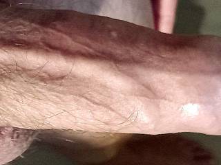 my veiny toy