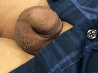 My embarrassing cock