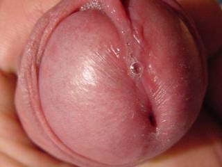 How about a closeup,Ladies...do you like to see my hornyness??